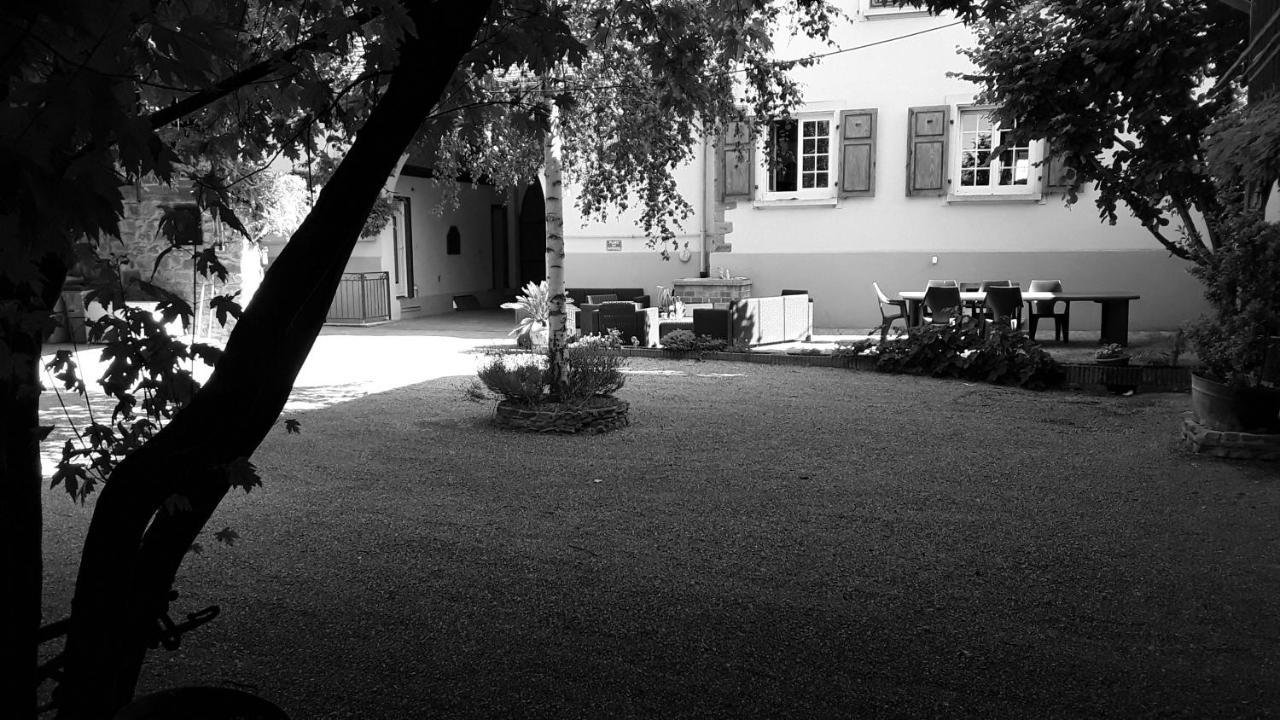 Gites Les Cocottes Zellwiller Exterior foto